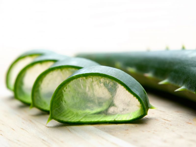 recette à base d'aloe vera