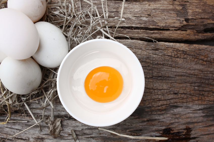 les oeufs