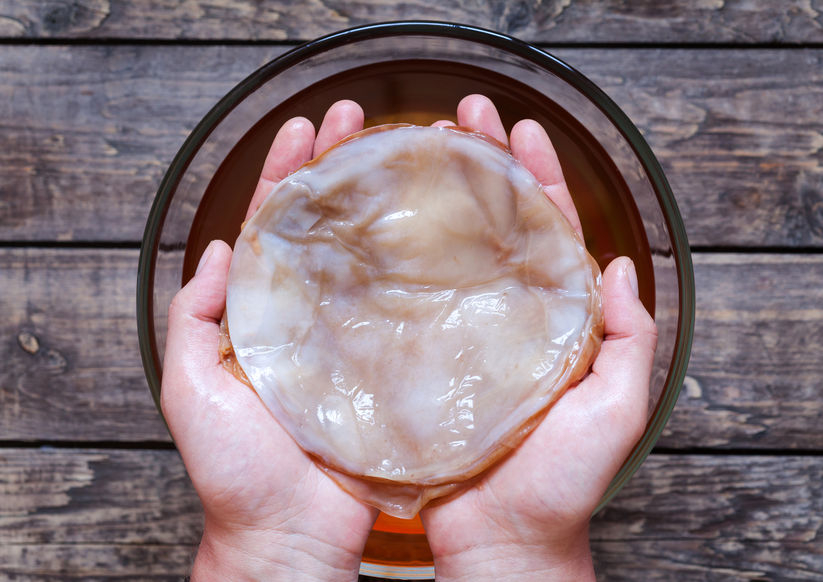 Les fibres de kombucha cuir vegan