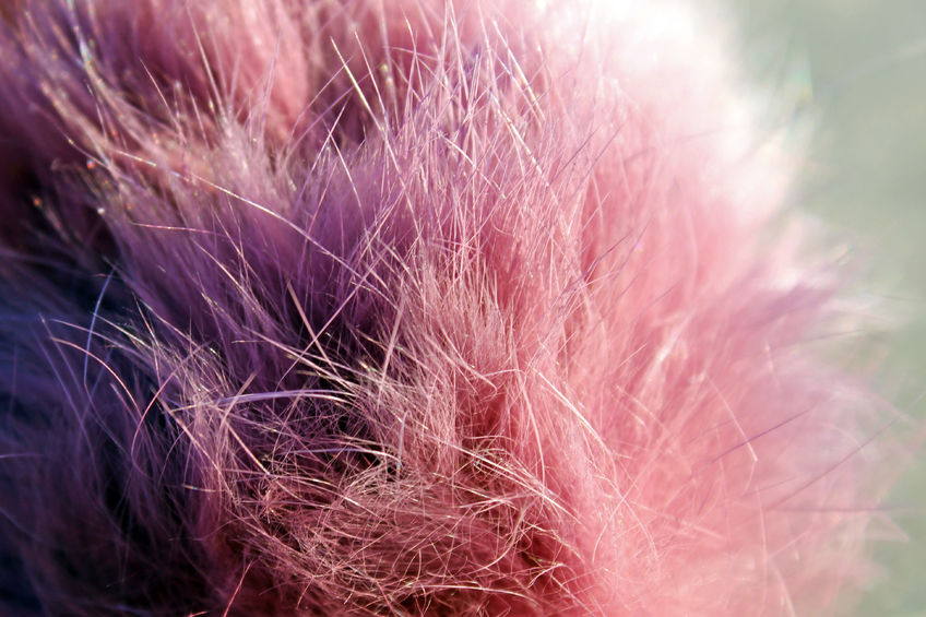 Fibres synthétiques vêtements vegan