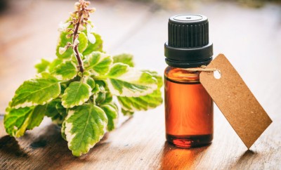 L’huile essentielle de tea tree pour soigner sa peau