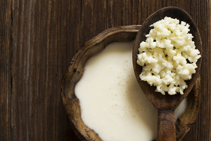 kéfir de lait Les boissons fermentées