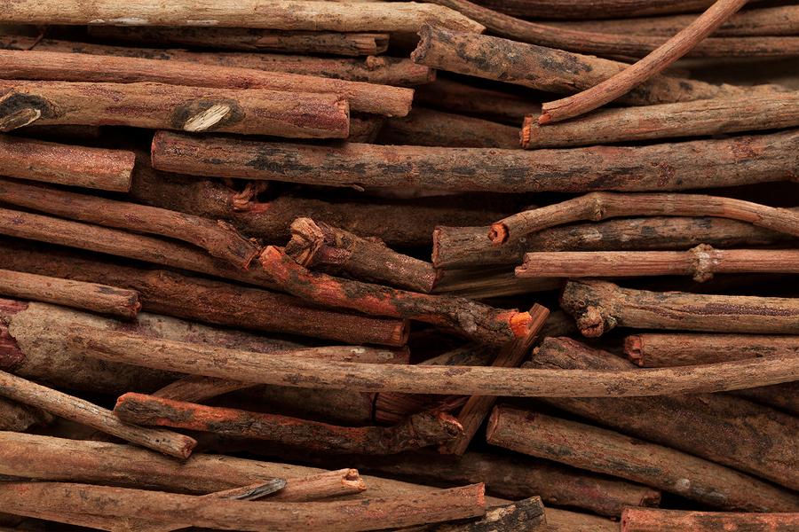 Découvrir la manjishta ou garance indienne