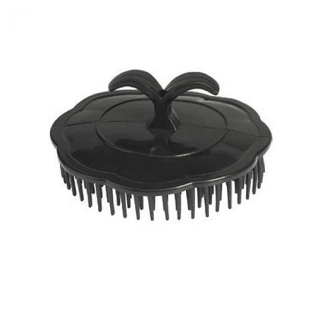 Secret d’ailleurs : L’indispensable brosse Tazi